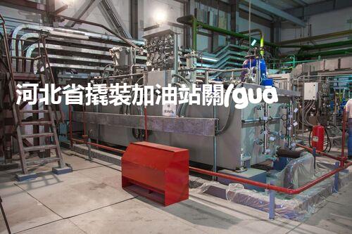 河北省撬裝加油站關(guān)鍵技術(shù)突破！化工廠拆除工程的新方法探索？